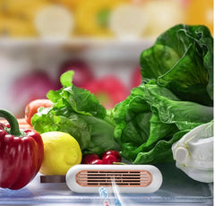Refrigerator Deodorizer Sterilization Odor Preservation